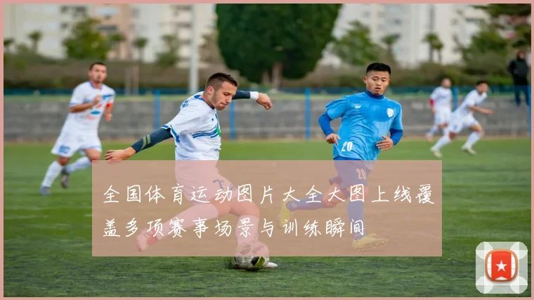 全国体育运动图片大全大图上线覆盖多项赛事场景与训练瞬间